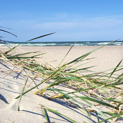 Fototapeta na wymiar Blick durch die Dünen am Strand von Warnemünde