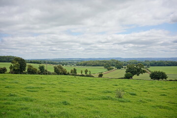 Fototapeta na wymiar rural landscape with green field and cloudy blue sky