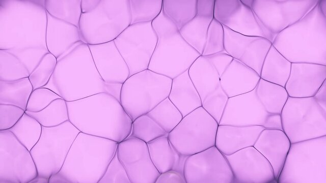 pink abstract background, abstract purple background, glass effect, waving motion graphic video template