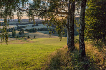 Waldrand im Sonnenuntergang © parallel_dream