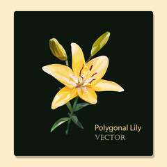 Low poly yellow delicate lily flower with two unblown buds on a postcard with a dark background. Vector illustration