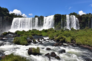 Fototapeta premium Cataratas del Iguazu 