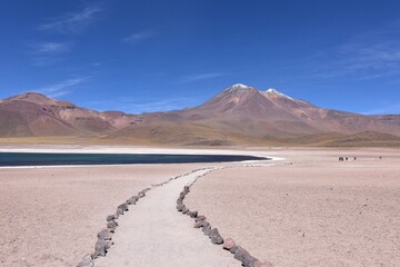 Fototapeta na wymiar Lagunas altiplánicas en San Pedro de Atacama