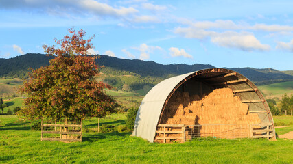 A half-round corrugated iron barn full of hay bales. Photographed in the Waikato Region, New Zealand, with the Kaimai Mountains in the background © Michael