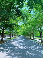 alley in the park