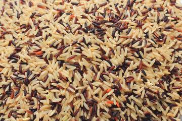 background of rice