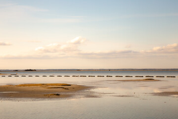 marshland lagoon and wildlife preserve coast line