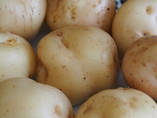 Macro photo of epicure potatoes