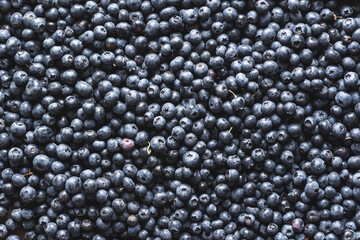 Fresh blueberries in overhead view.
