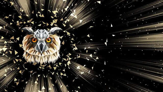 Polygonal Owl background. Animal head. Low polygon loop animation. Geometric wildlife. Polygonal animal portrait.