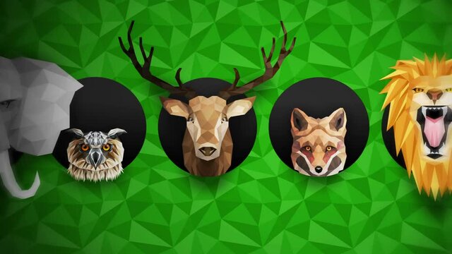 Collection of different animals. Zoo symbol. Low polygon icons. Lion, Gorilla, Zebra, Raccoon, Fox, Elephant, Deer, Owl. Geometric loop animation set.