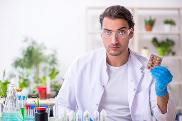 Young male chemist working in the lab