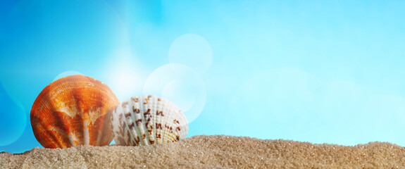 Summer holiday background, Banner with shells and sunshine