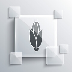 Grey Corn icon isolated on grey background. Square glass panels. Vector Illustration.