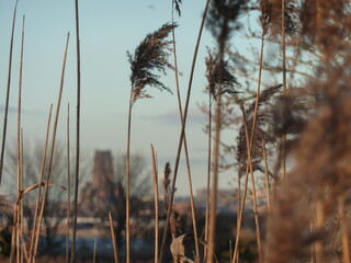 Fototapeta premium Liverpool from Port Sunlight River Park