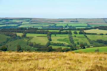 Hills, combes and fields near Winsford, Exmoor, Somerset, England