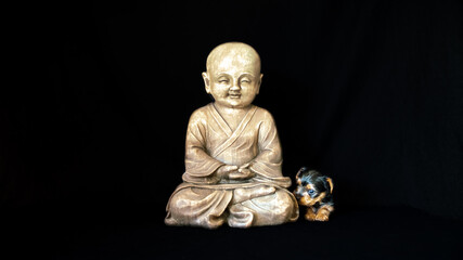 
Cute little Yorkshire terrier puppy, black and tan color, near a child buddha statue, on black background