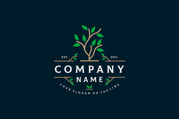 tree logo design vintage vector template