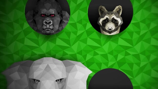 Collection of different animals. Zoo symbol. Low polygon icons. Lion, Gorilla, Zebra, Raccoon, Fox, Elephant, Deer, Owl. Geometric loop animation set.