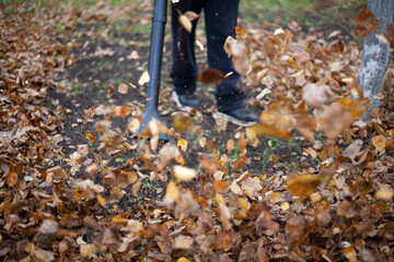 Cleaning dry leaves with a wind turbine. 