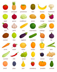 A large set of different vegetables and fruits with titles. Educational poster on what a particular food looks like. Banner with whole vegetables and fruits. Detailed traced foods isolated on white ba