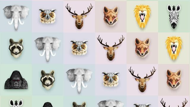 Collection of different animals. Zoo symbol. Low polygon icons. Lion, Gorilla, Zebra, Raccoon, Fox, Elephant, Deer, Owl. Geometric loop animation set.