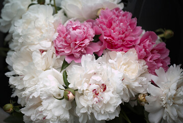 bouquet of white and pink peonies
