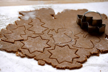 Making gingerbread cookies for Christmas. Pine tree, star, and squirrel shaped cookie cutters. 