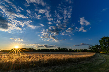Sonnenuntergang in M&uuml;hlheim am Main