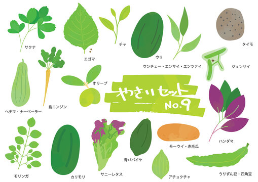 野菜のイラストセット　9