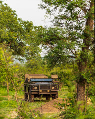 African Safari car display in the wilderness