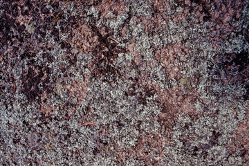Background texture rock stone with moss