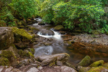 small river with waterfall in the forest