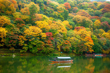 Boat sailing along the river in Arashiyama, Kyoto, Japan surrounded by autumn leaf trees