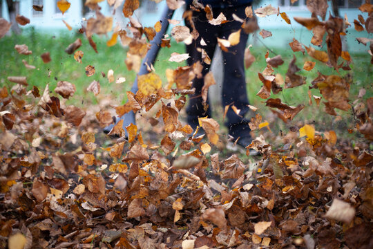 Cleaning dry leaves with a wind turbine.