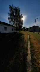 Summer rural view in morning. Tranquil landscape of countryside with sun shining through birch tree and footpath on green lawn with nobody. Wide angle view