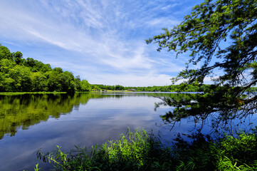 Stillness of the Lake