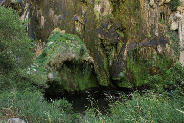 moss on the rocks in Navarra (Spain)