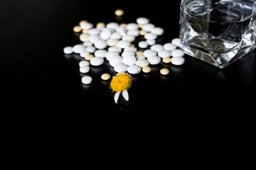 Chamomile with the remaining two petals. Next to it were pills of various sizes , taken from...
