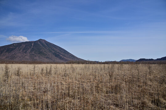 Senjogahara Marshland, Nikko, Japan