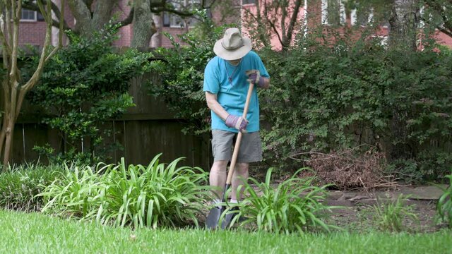 A Mature Man Digging In His Garden Shows Symptoms Of Heat Exhaustion Evident By Profuse Sweating And Fatigue.