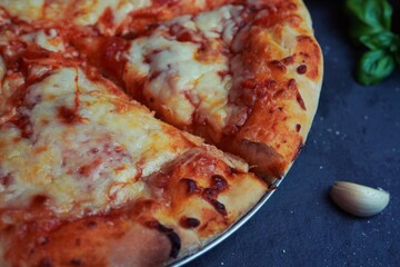 Homemade Fluffy Cheese Pizza, selective focus