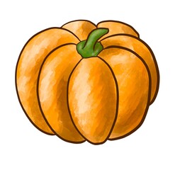 Orange textured large pumpkin Watercolor imitation. Illustration of autumn traditional vegetable isolated on white. Short green stem. Black outline. Thanksgiving day and halloween symbol decoration.