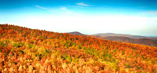 Scenic colors of the fall season in Shenandoah Valley, Virginia 