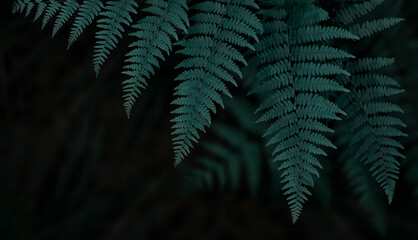 Fototapeta na wymiar Emerald green fern leaves background