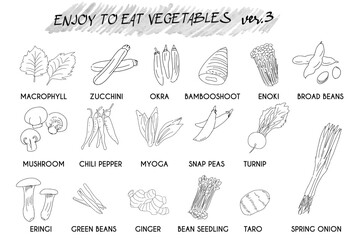 Vegetables various line set
