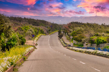 千葉県房総のお花ロード