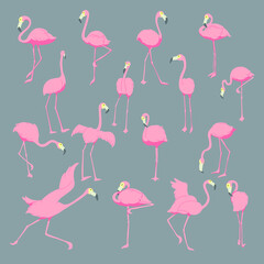 16 charactors of Flamingo icon