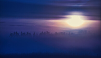 Landschaftspanorama - Natur in Lila Sonnenuntergang mit Wälder und Bäumen in der Luftperspektive