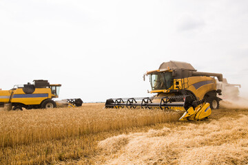 Obraz premium harvesting wheat at an agricultural enterprise